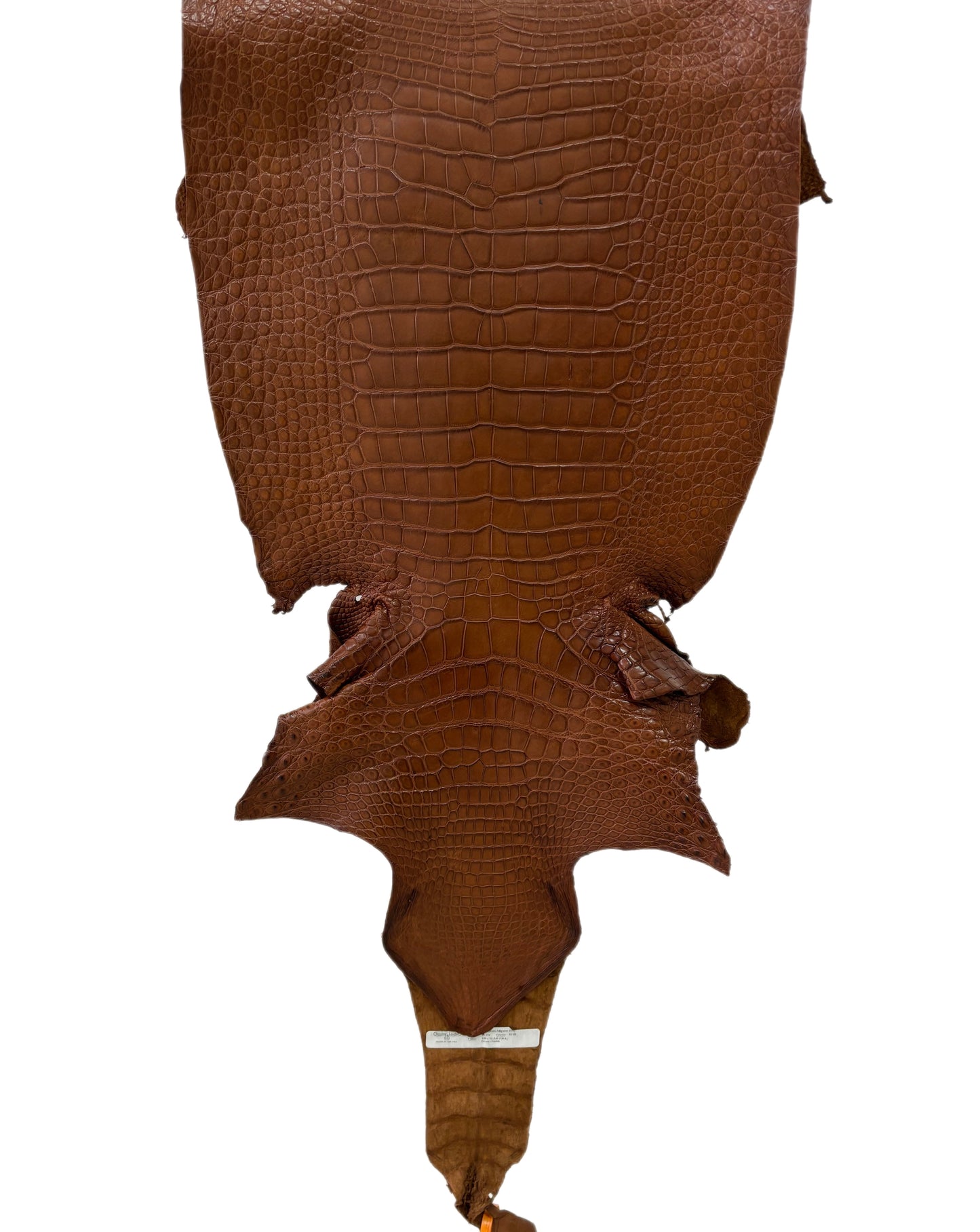 41 cm Grade 2/3 Cigar Matte Wild American Alligator Leather - Tag: LA22-0004191