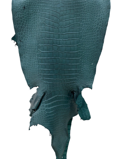 43 cm Grade 3/4 Teal Matte Wild American Alligator Leather - Tag: LA23-0023329