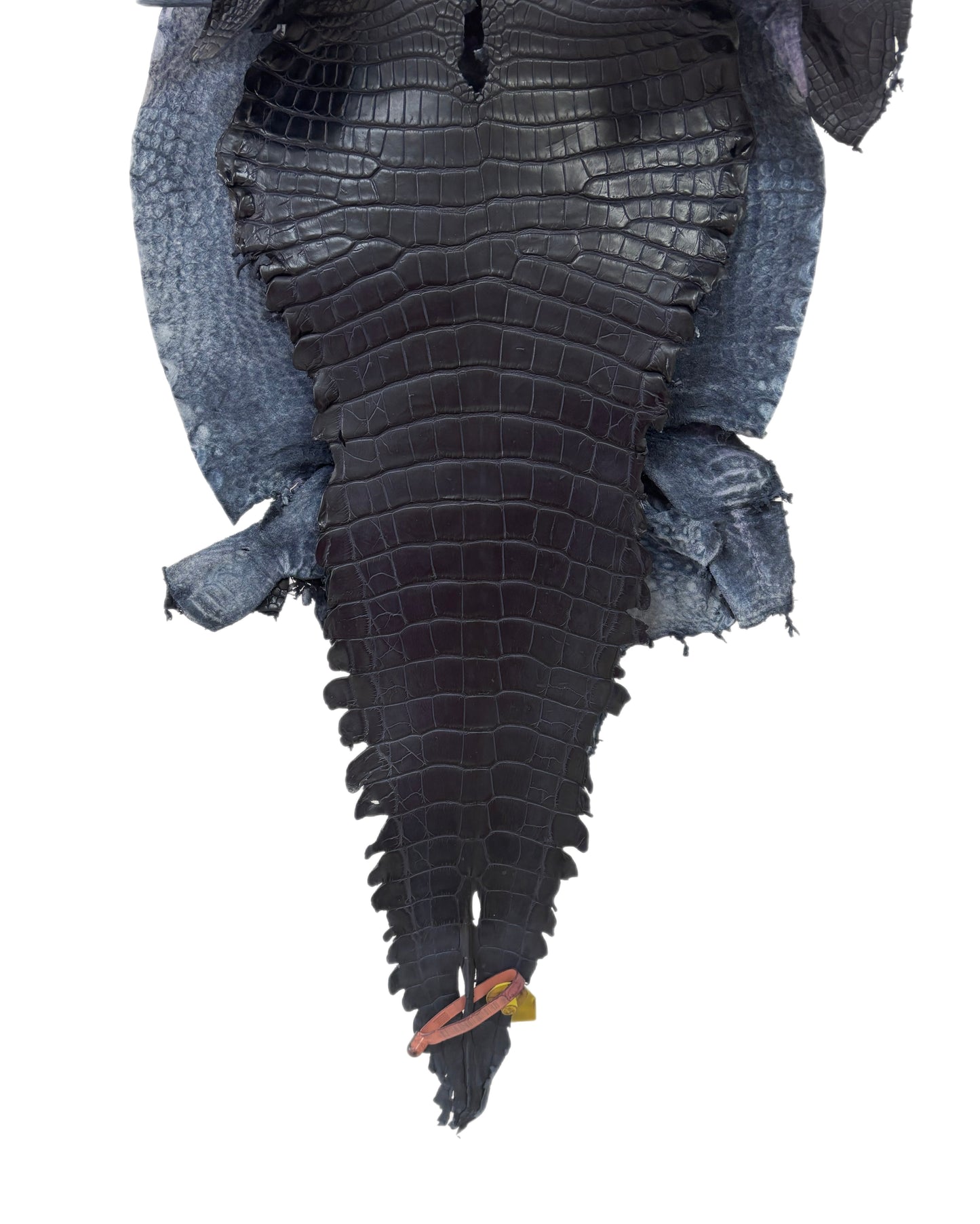 38 cm Grade 3/4 Navy Blue Matte Farm Raised American Alligator Leather - Tag: GA14-0021584