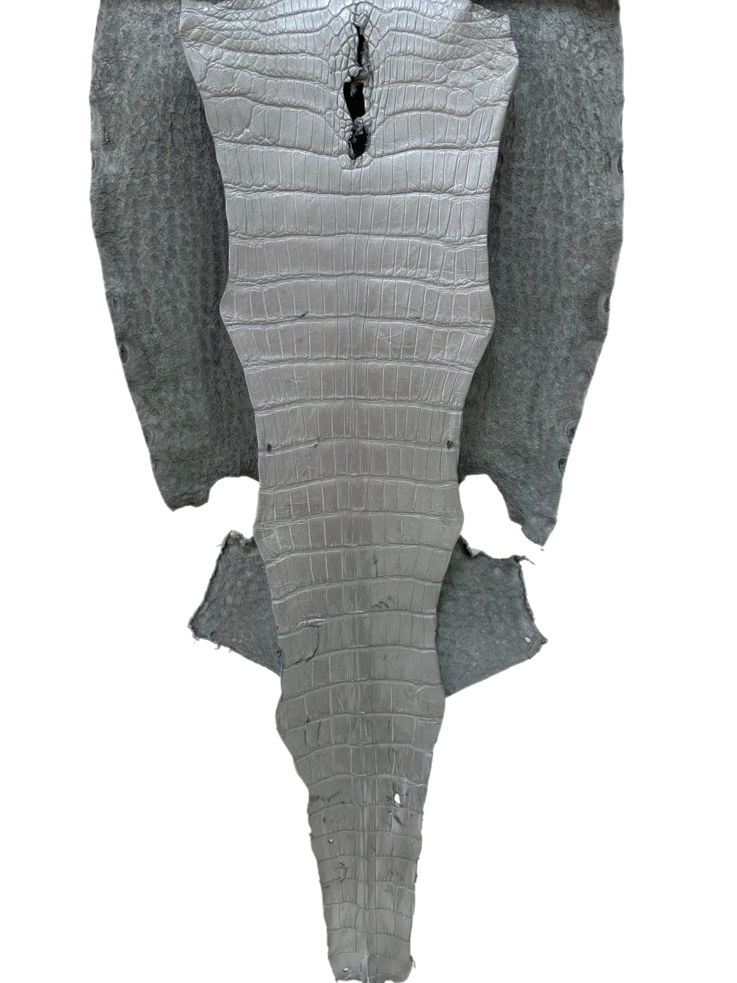 38 cm Grade 3/4 Silver Metallic Wild American Alligator Leather - Tag: LA23-0028578