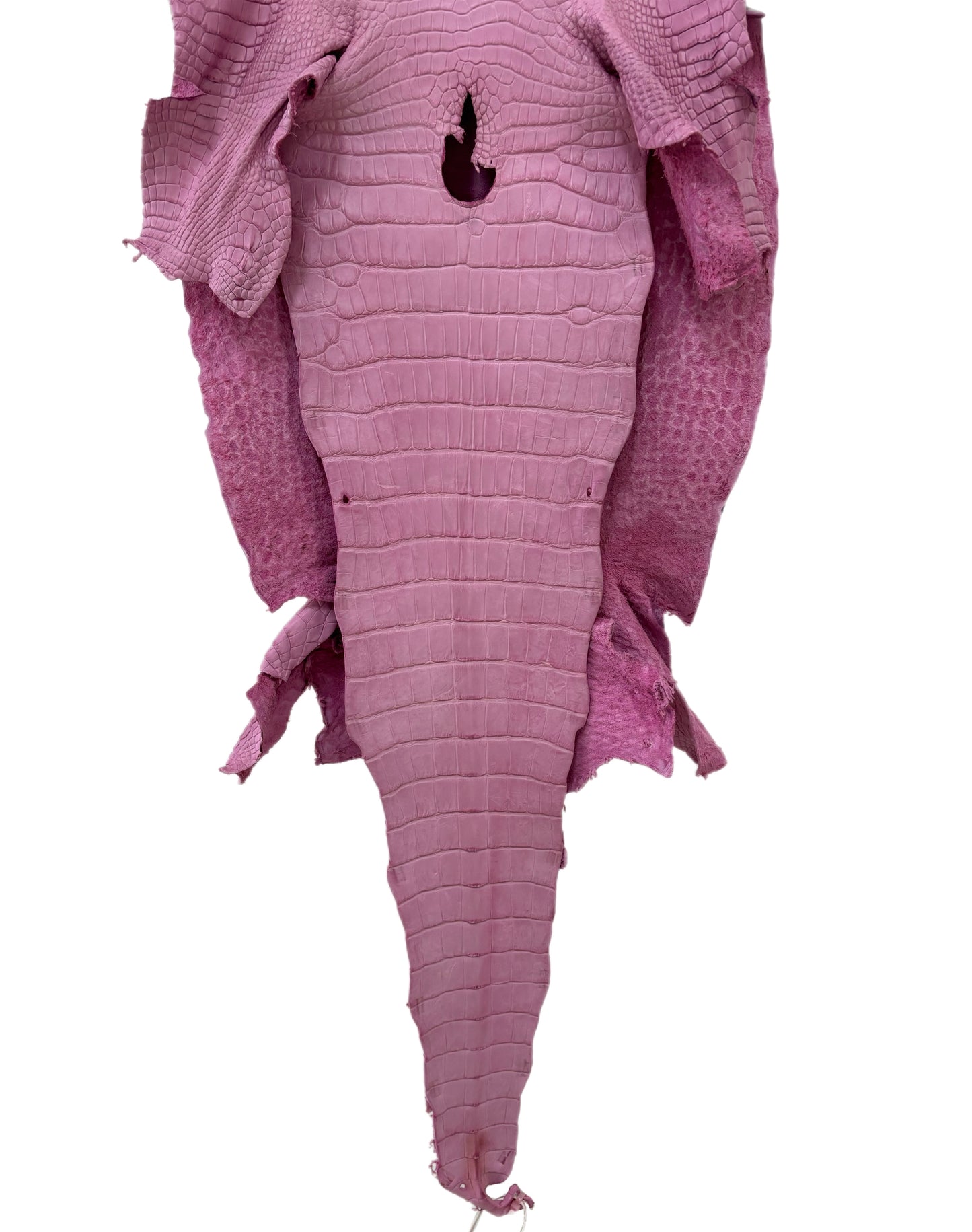 40 cm Grade 2/3 Cotton Candy Matte Wild American Alligator Leather - Tag: LA23-0040318