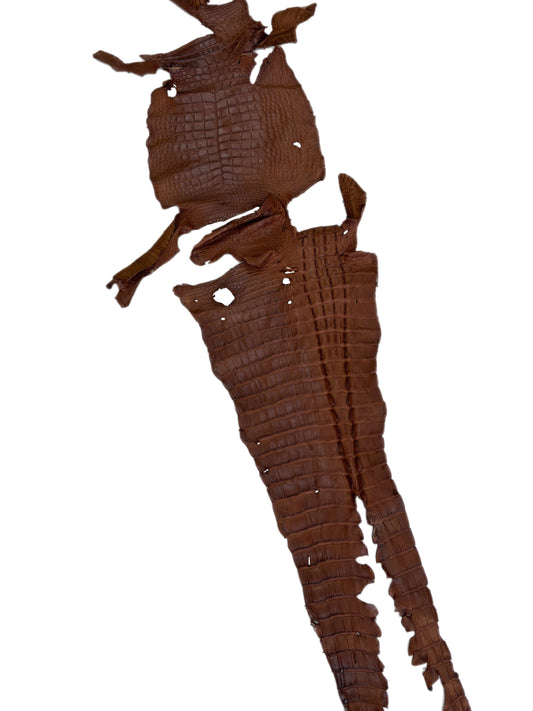 UNCLAIMED|| 42 cm Grade 4/5 Cognac Matte Wild American Alligator Leather - Tag: FL23-0003508