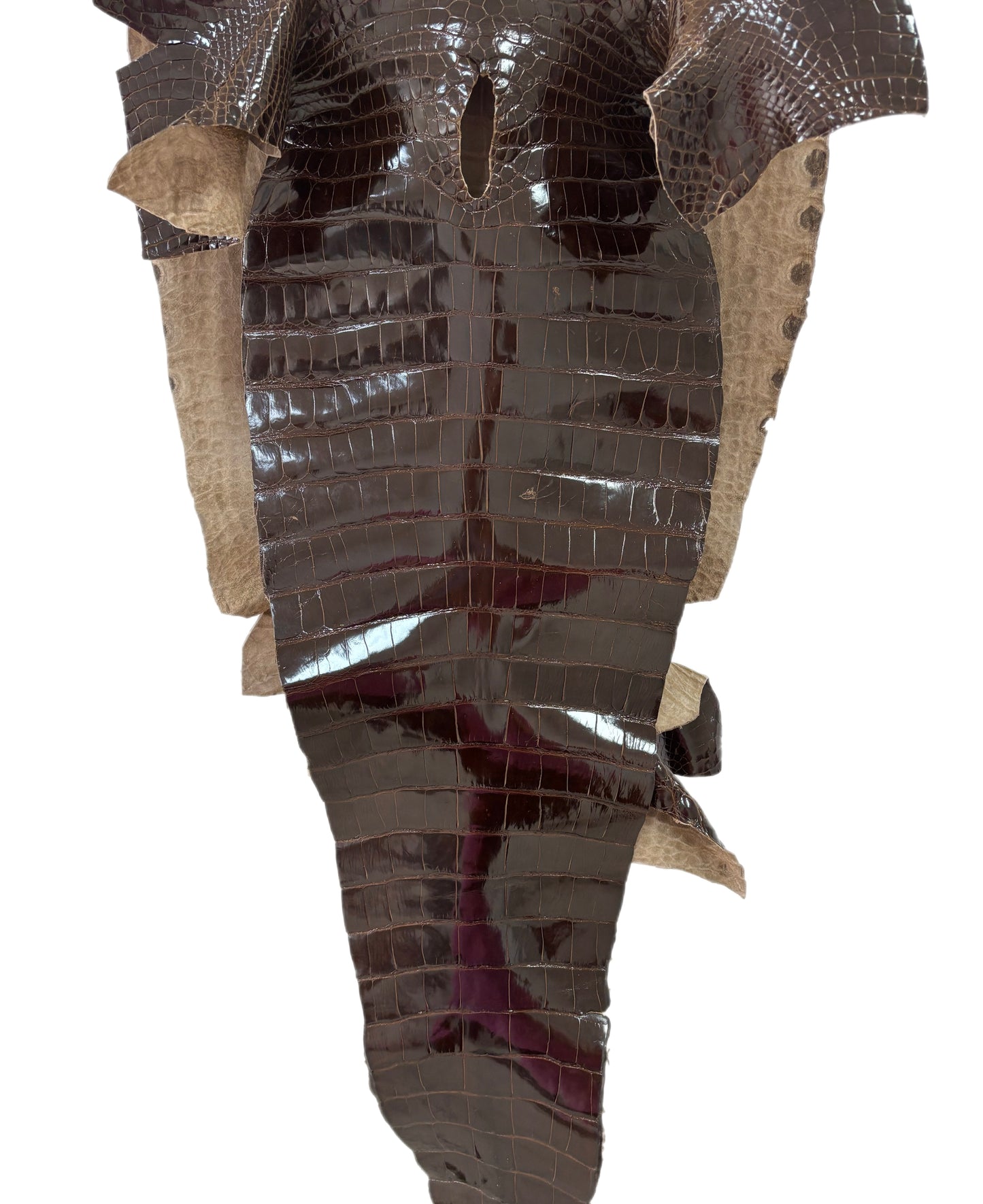 45 cm Grade 1/2 Sport Rust Brown Glazed Farm-Raised American Alligator Leather - Tag: LA14-0074006