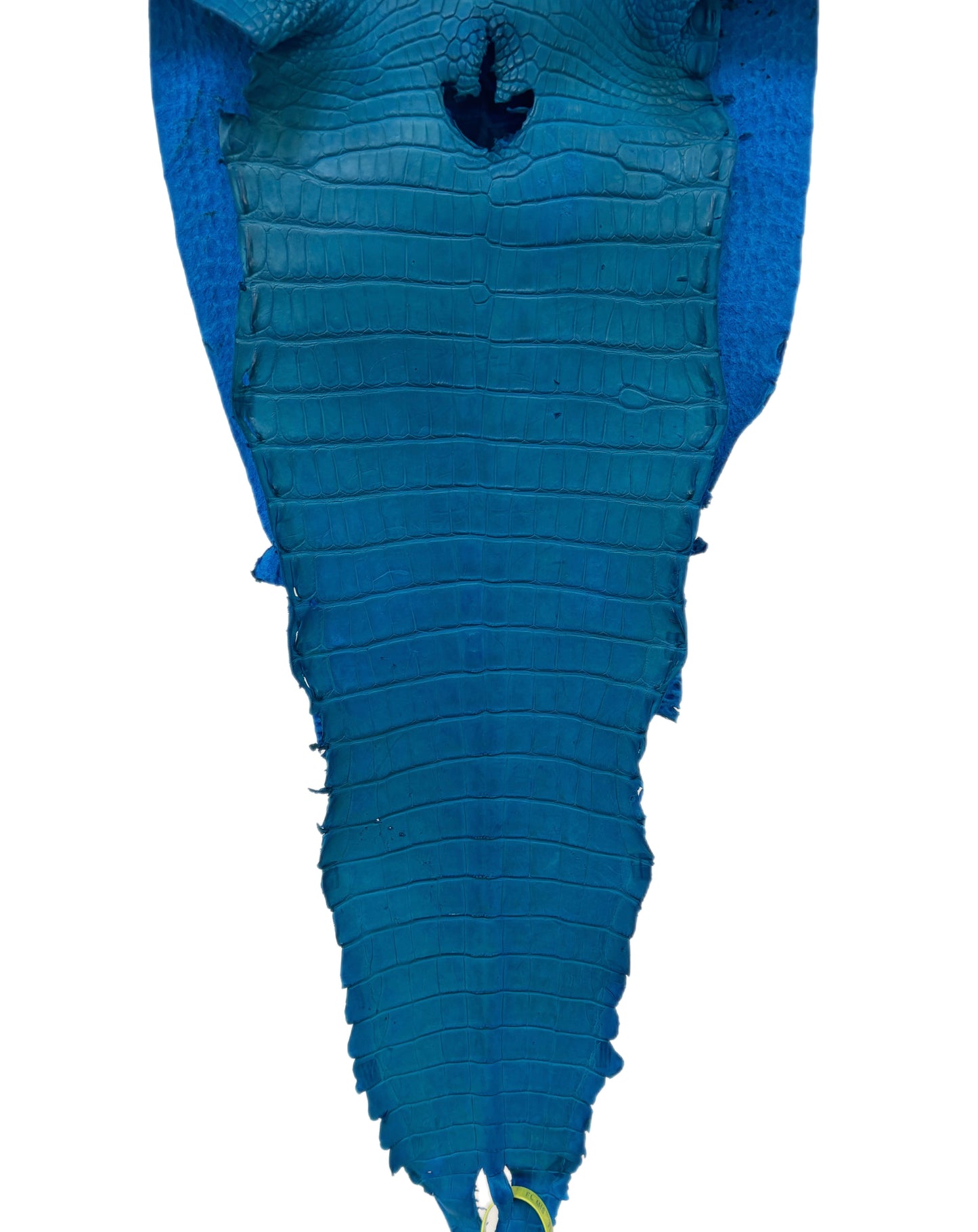 30 cm Grade 3/4 Ultramarine Matte Farm-Raised American Alligator Leather - Tag: FL22-0030413