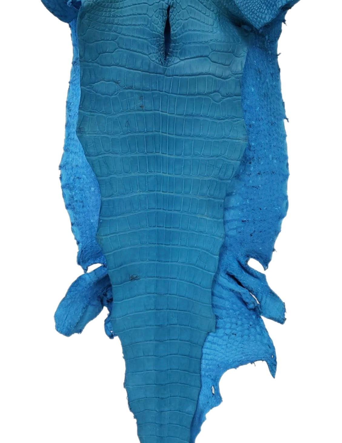 52 cm Grade 3/4 Ultramarine Matte Wild American Alligator Leather - Tag: LA23-0048185