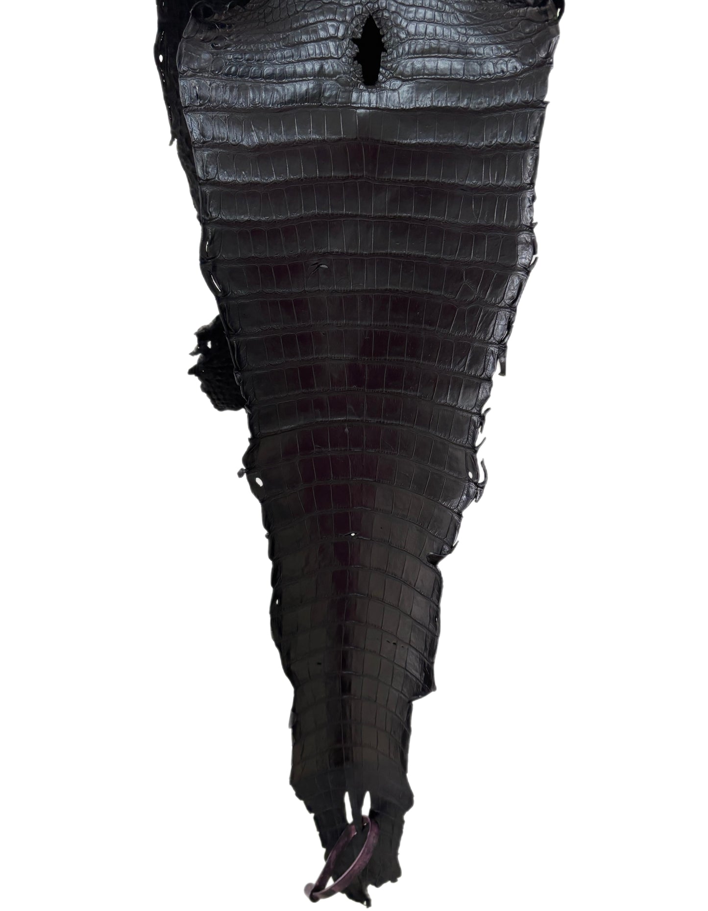 24 cm Grade 3/4 Black Matte (Stiff Finish) Farm-Raised American Alligator Leather - Tag: FL21-0024441