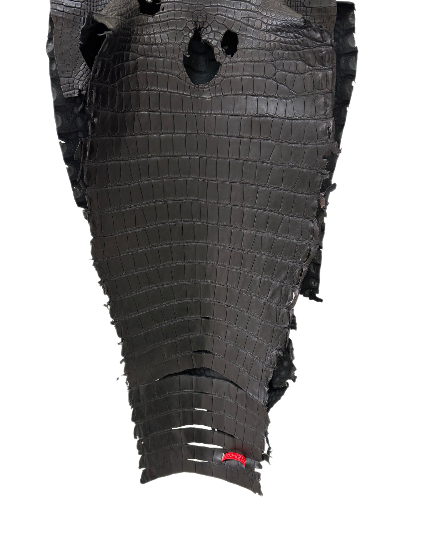 36 cm Grade 2/3 Black Garment Wild American Alligator Leather - Tag: ITCC-0539870