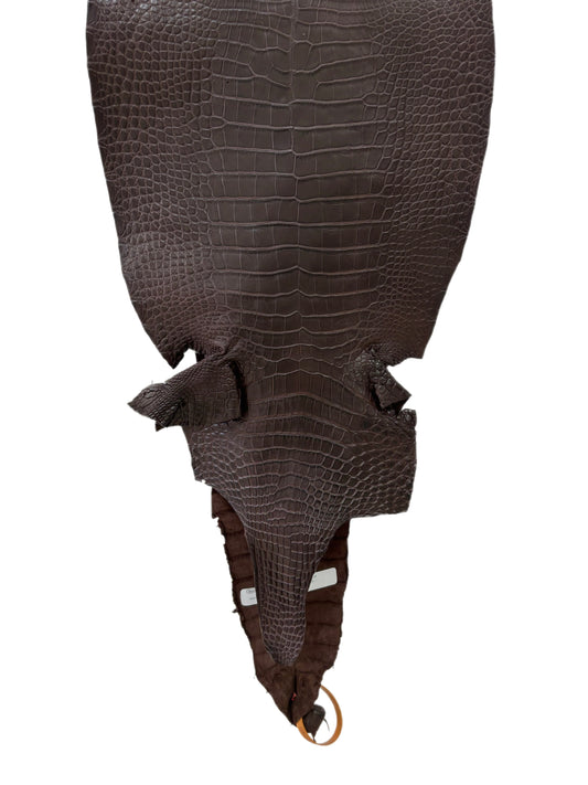 31 cm Grade 2/3 Chocolate Matte Farm-Raised American Alligator Leather - Tag: LA23-0531983