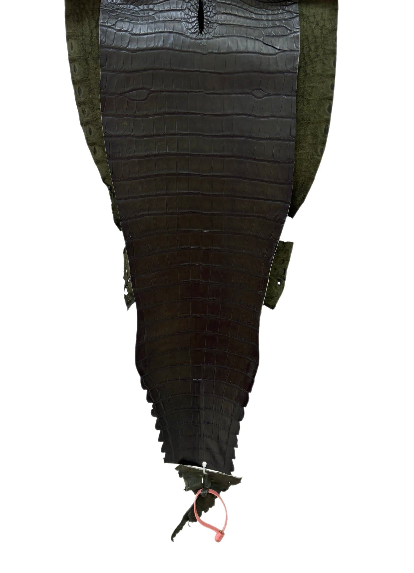 30 cm Grade 2/3 Olive Antique Farm-Raised American Alligator Leather - Tag: FL21-0024134