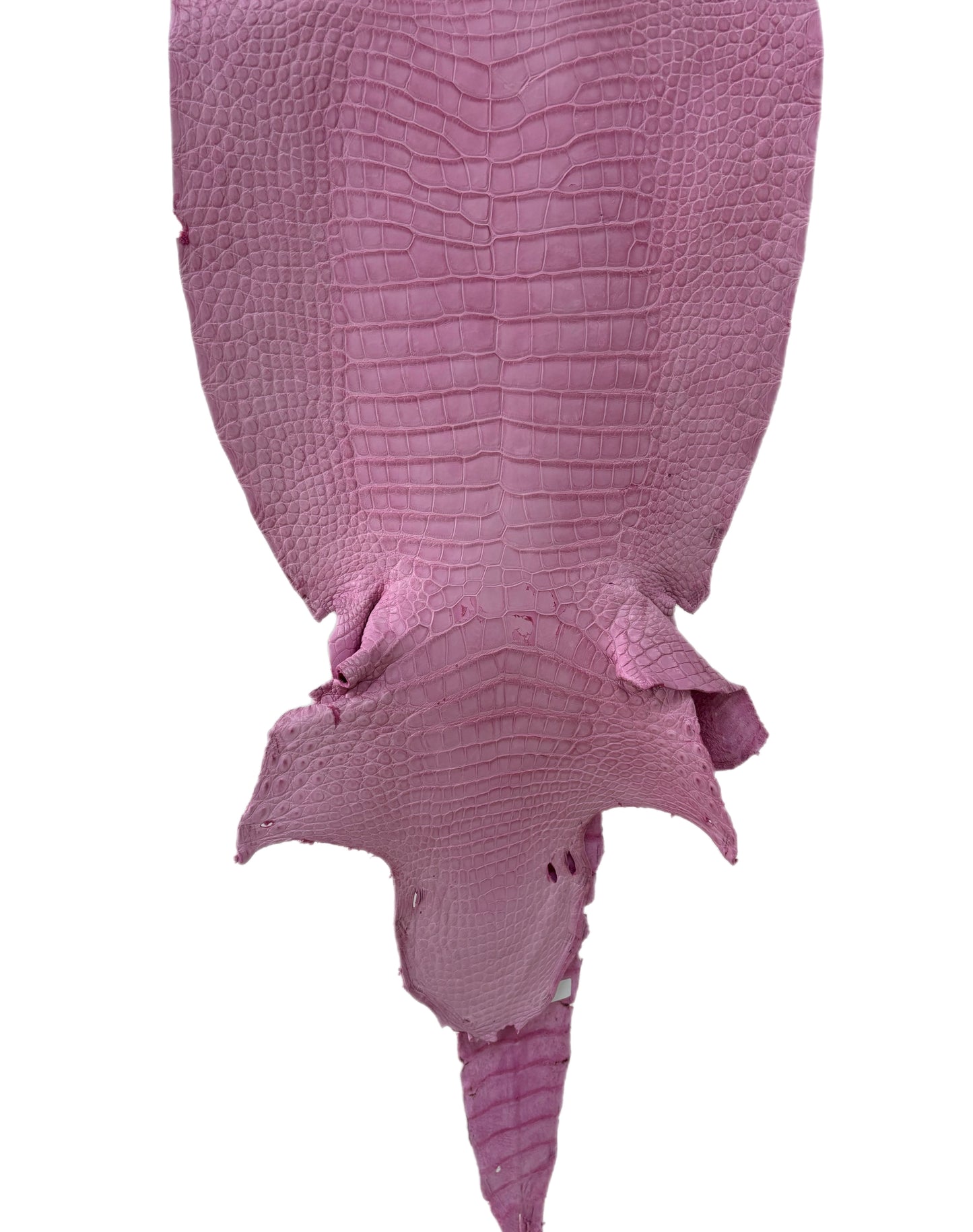 40 cm Grade 3/4 Cotton Candy Matte Wild American Alligator Leather - Tag: LA23-0001476
