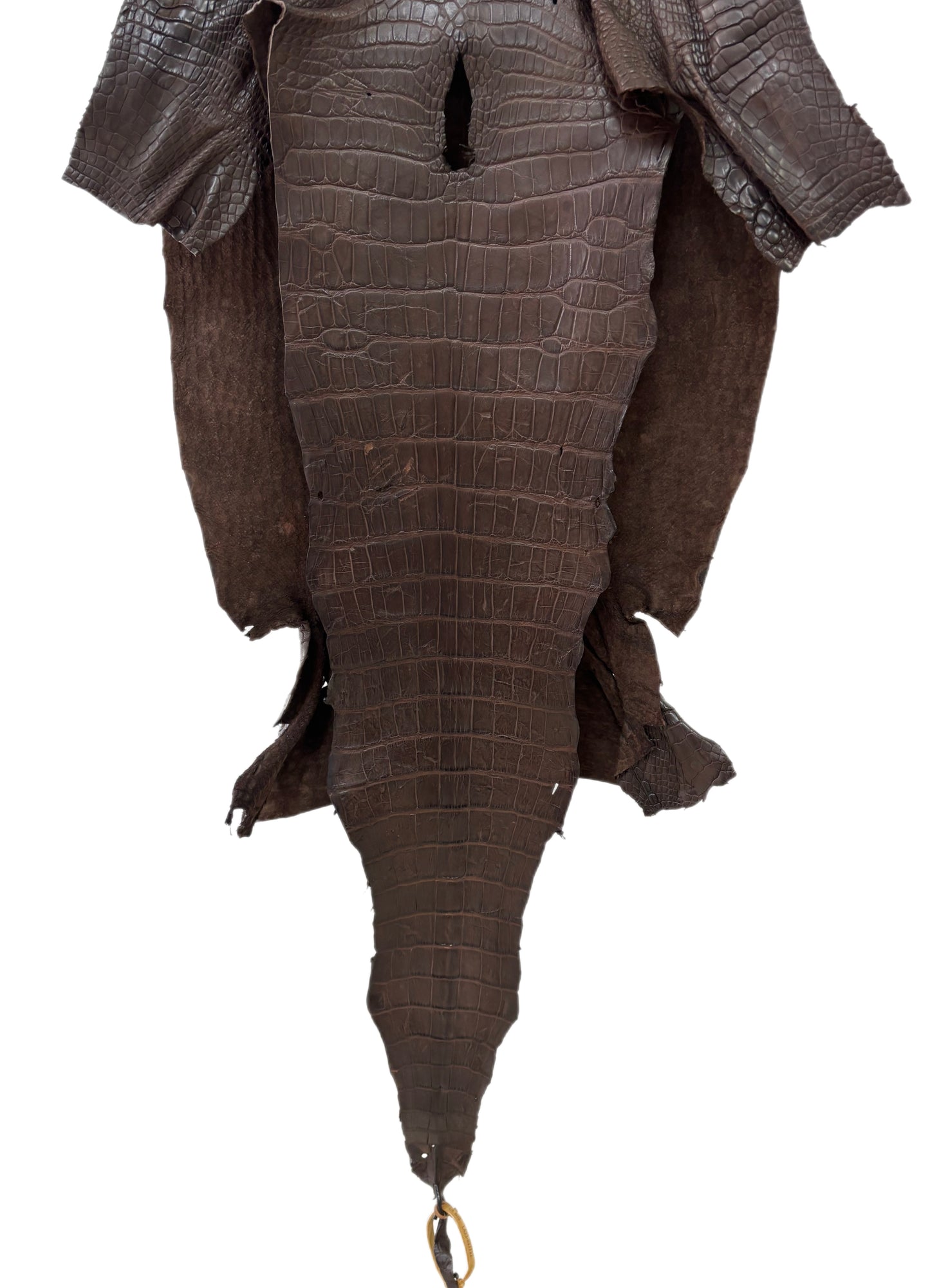 44 cm Grade 3/4 Chocolate Matte Wild American Alligator Leather - Tag: LA23-0027722