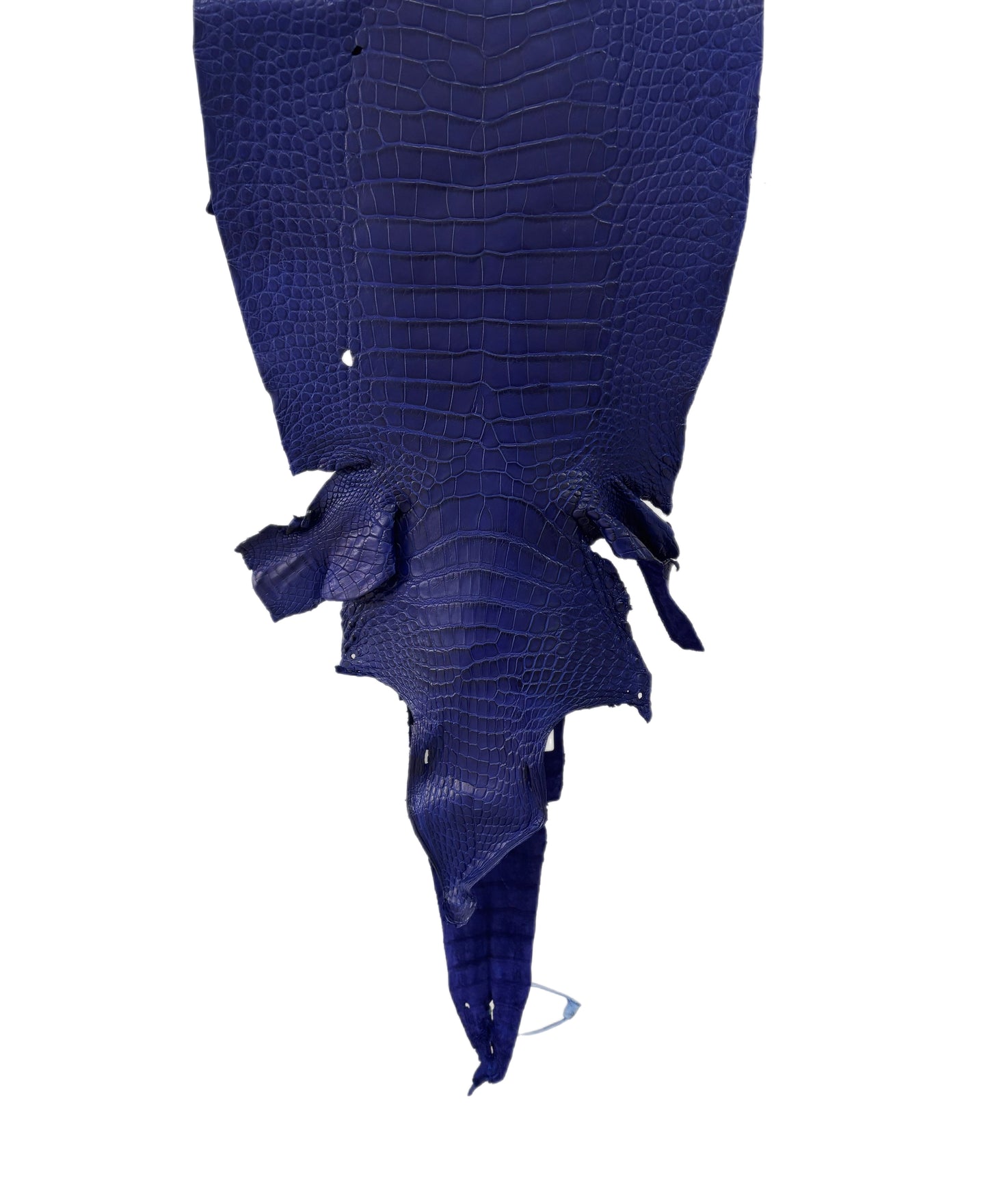 32 cm Grade 3/4 Cobalt Blue Matte Wild American Alligator Leather - Tag: LA23-0050661