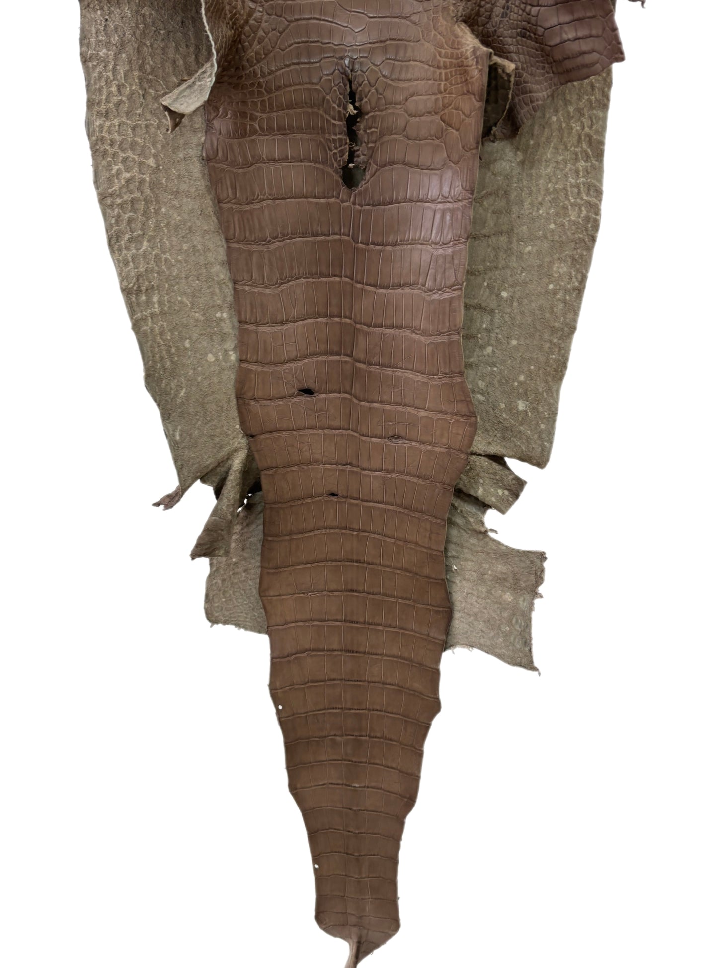 49 cm Grade 2/3 Mink Matte Wild American Alligator Leather - Tag: LA16-0004472
