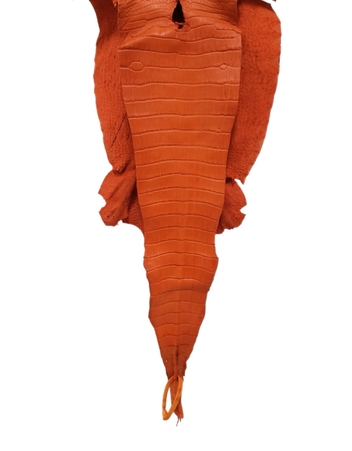 32 cm Grade 2/3 Orange Primavera Matte Farm-Raised American Alligator Leather - Tag: LA23-0531569