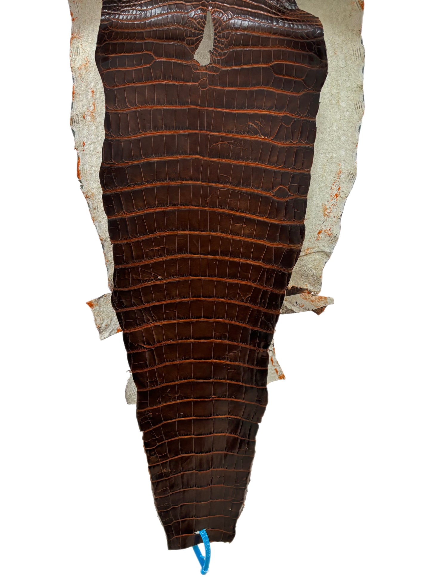 35 cm Grade 1/2 Sienna Matte Wild American Alligator Leather - Tag: ESRE-0033710