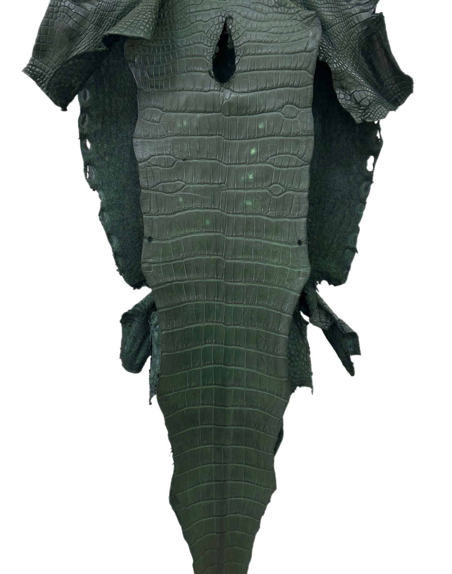 36 cm Grade 1/2 Forest Green Matte Wild American Alligator Leather - Tag: LA23-0030889