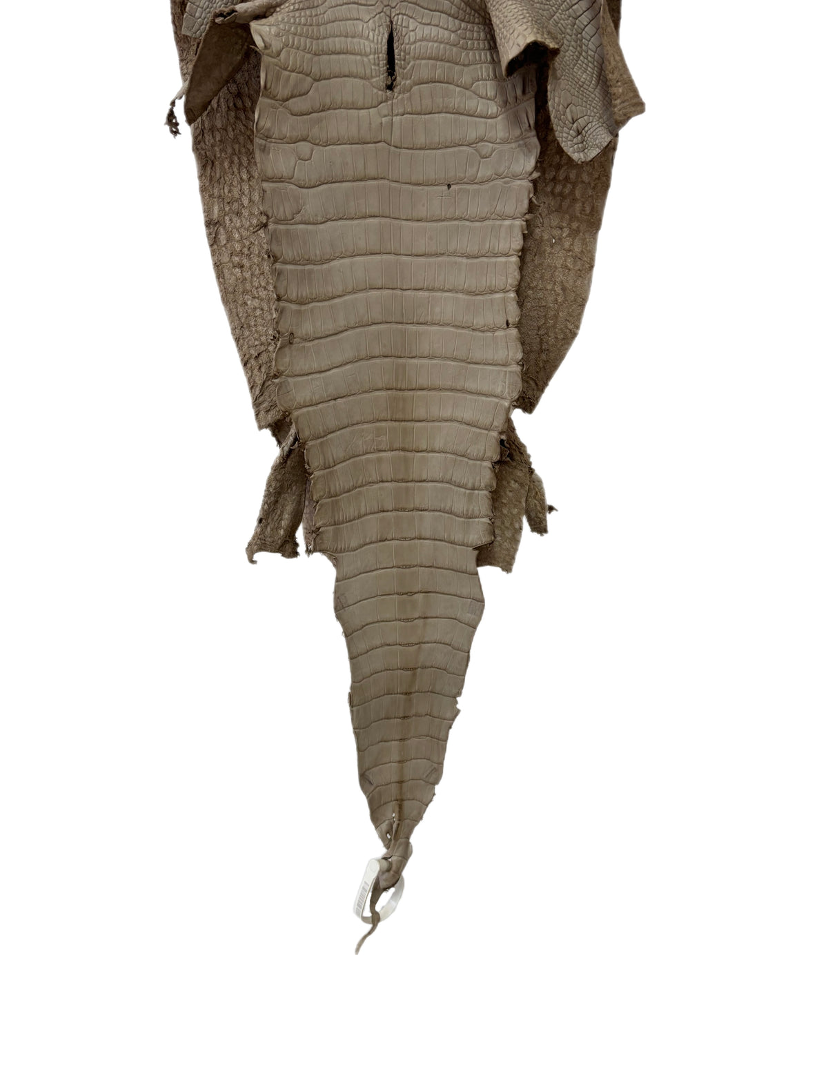 30 cm Grade 3/4 Stormy Matte Wild American Alligator Leather - Tag: LA23-0050124
