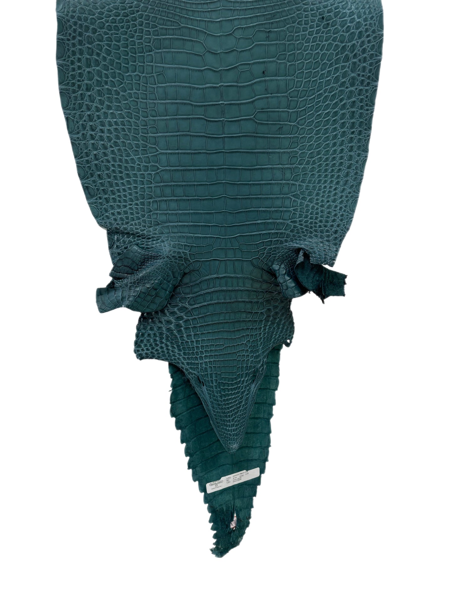 40 cm Grade 2/3 Teal Matte Farm-Raised American Alligator Leather - Tag: FL18-0052045