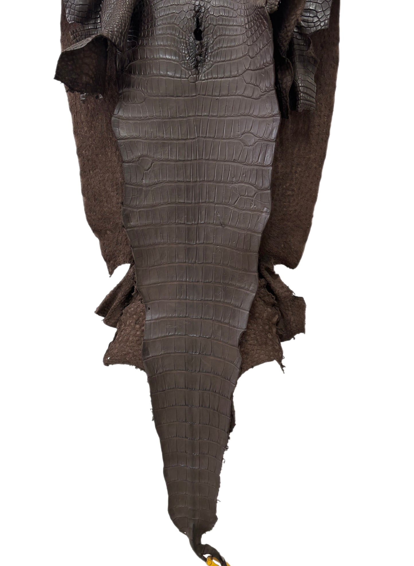 49 cm Grade 4/5 Kralle Brown Matte Wild American Alligator Leather - Tag: LA25-0008002