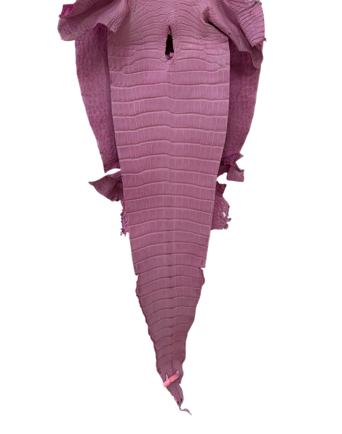 30 cm Grade 1/2 Cotton Candy Matte Farm-Raised American Alligator Leather - Tag: LA21-0328716