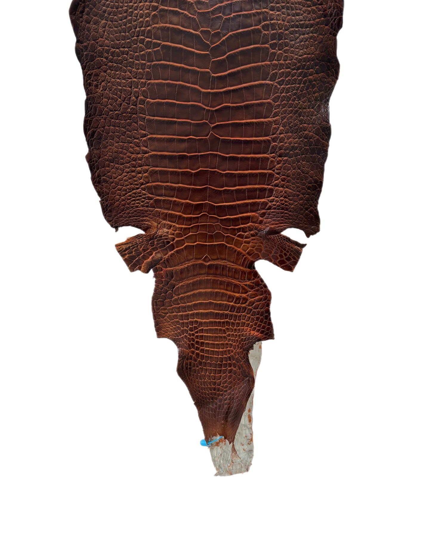 28 cm Grade 1/2 Sienna Matte Wild American Alligator Leather - Tag: ESRE-0050704