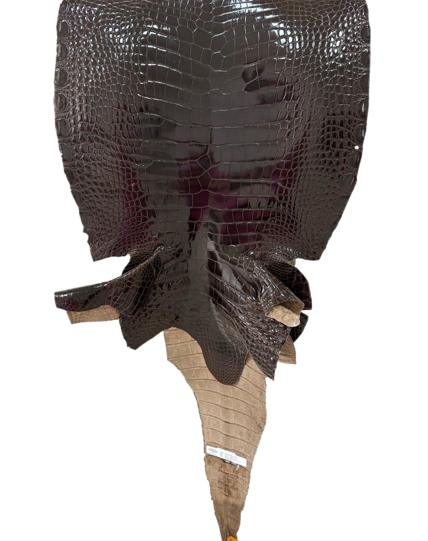 45 cm Grade 2/3 Sport Rust Brown Glazed Farm-Raised American Alligator Leather - Tag: LA12-0136202