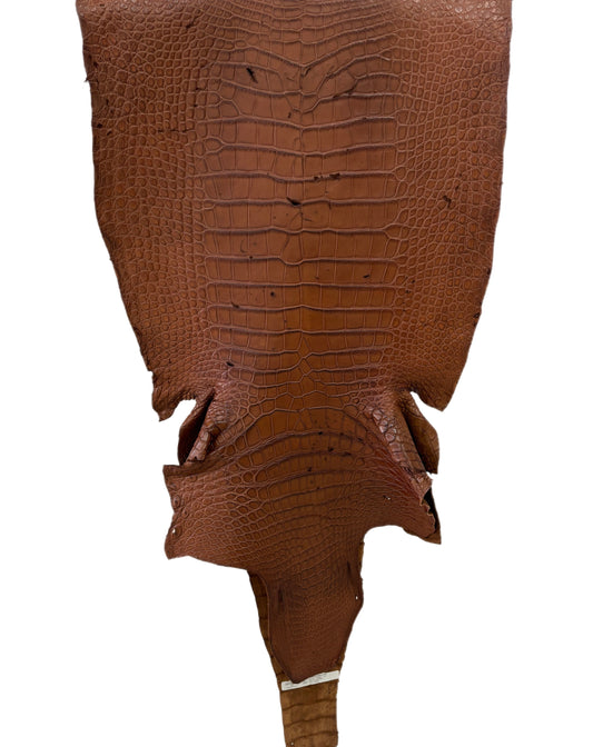 54 cm Grade 4/5 Cigar Matte Wild American Alligator Leather - Tag: LA18-0019982