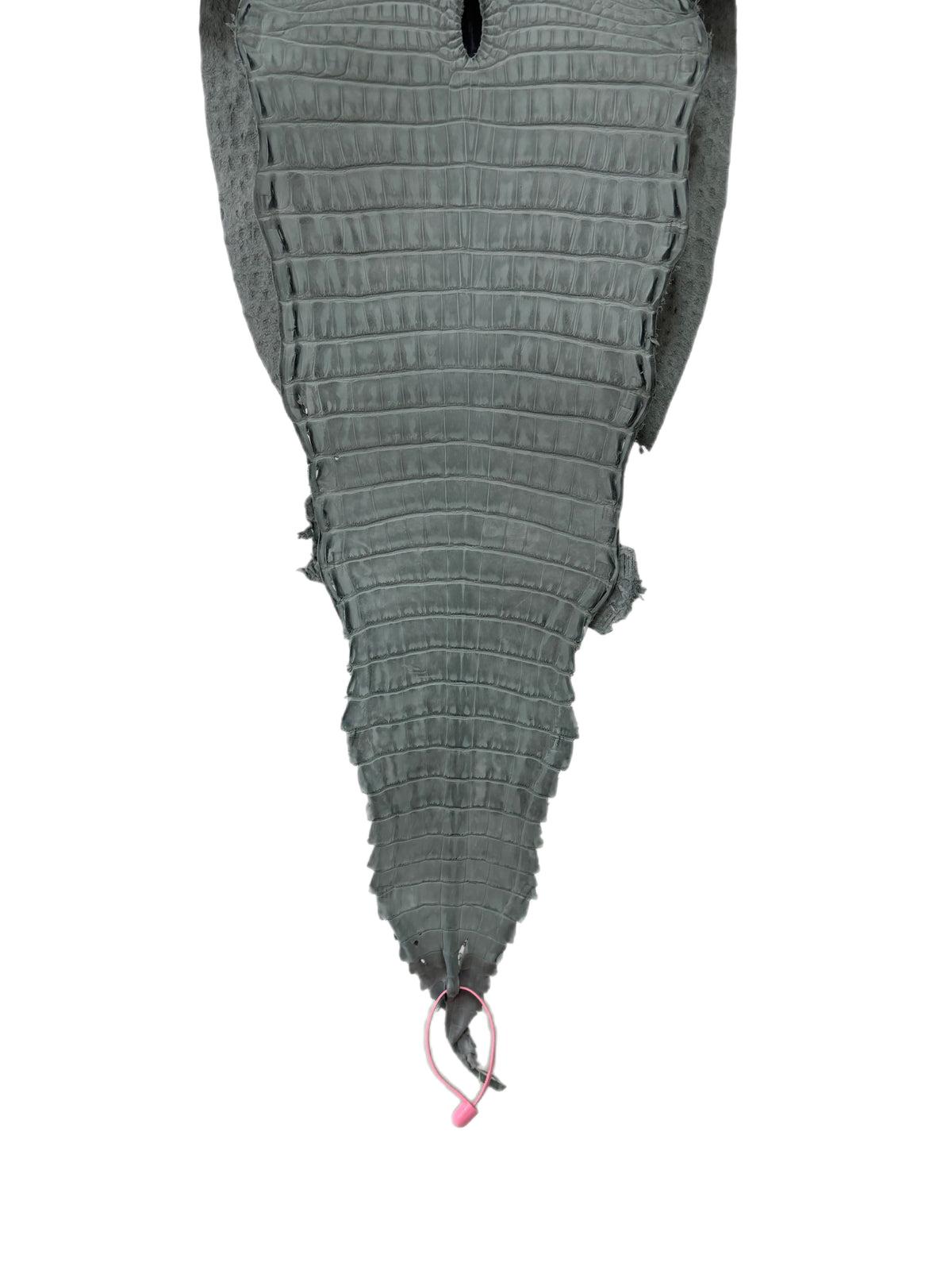 New Color and Finish! 28 cm Grade 2/3 Charcoal Grey Nubuck Farm-Raised American Alligator Leather - Tag: FL21-0024563