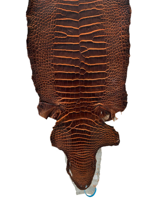 28 cm Grade 2/3 Sienna Matte Wild American Alligator Leather - Tag: ESRE-0050709
