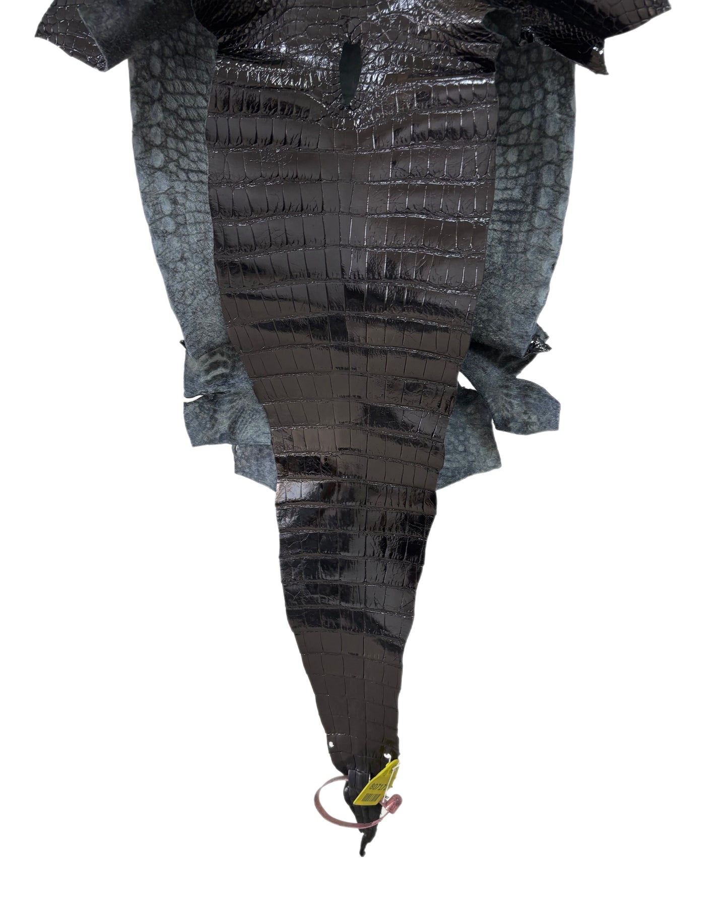 33 cm Grade 3/4 Black Glazed Wild American Alligator Leather - Tag: FL14-0003693