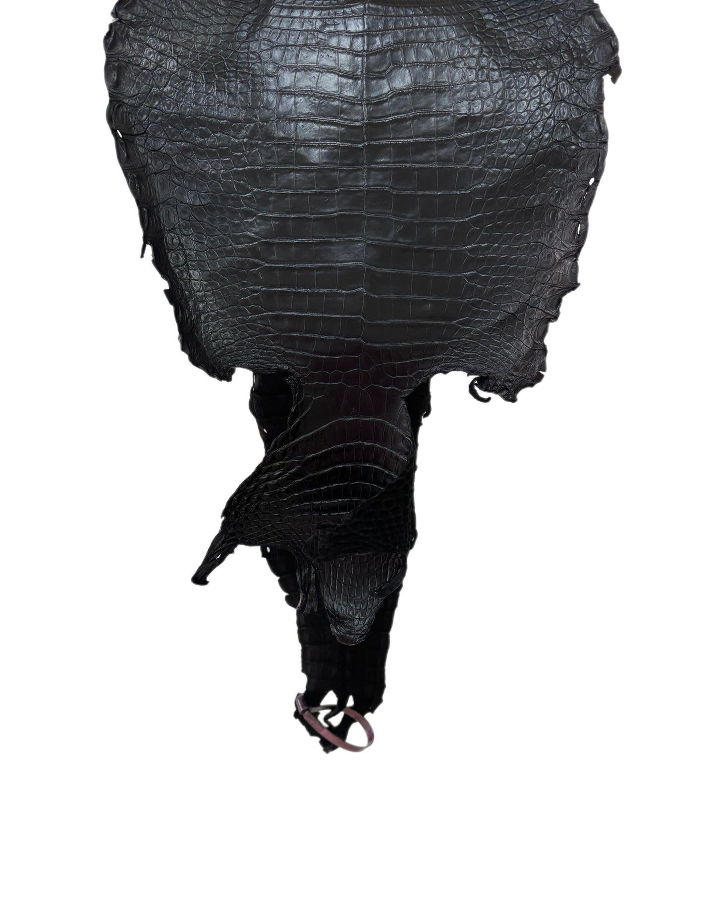 26 cm Grade 3/4 Black Matte (Stiff Finish) Farm-Raised American Alligator Leather - Tag: FL21-0024923