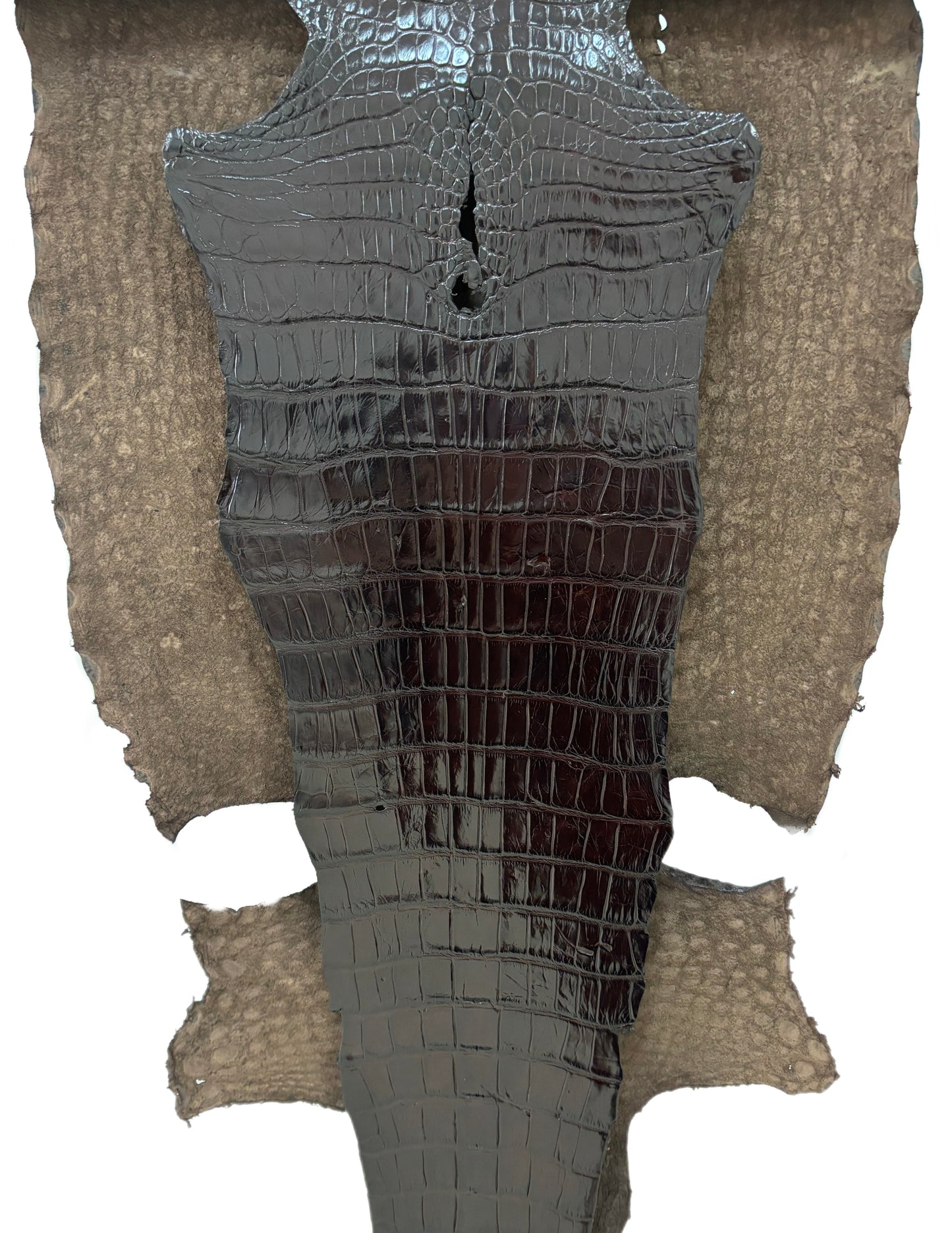 45 cm Grade 3/4 Chocolate Millennium Wild American Alligator Leather - Tag: LA23-0016527