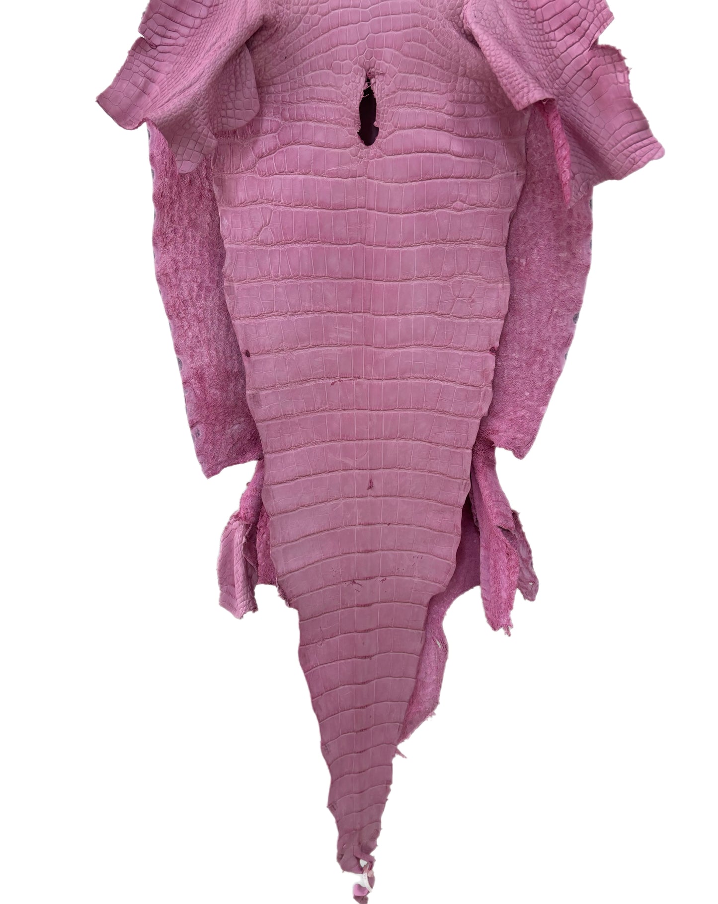 45 cm Grade 3/4 Cotton Candy Matte Wild American Alligator Leather - Tag: LA23-0040554