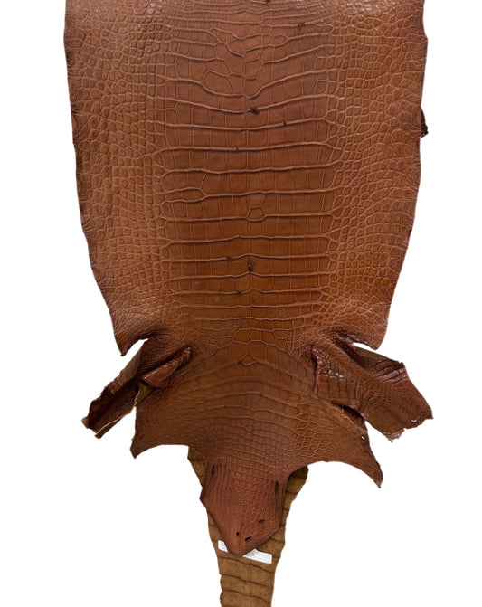 44 cm Grade 4/5 Cigar Matte Wild American Alligator Leather - Tag: LA22-0038273