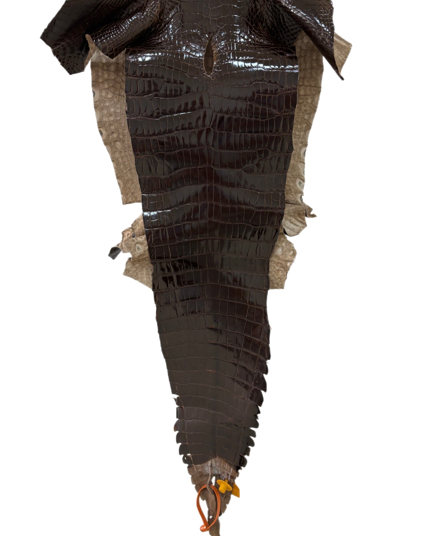30 cm Grade 1/2 Sport Rust Brown Glazed Farm-Raised American Alligator Leather - Tag: GA14-0021503
