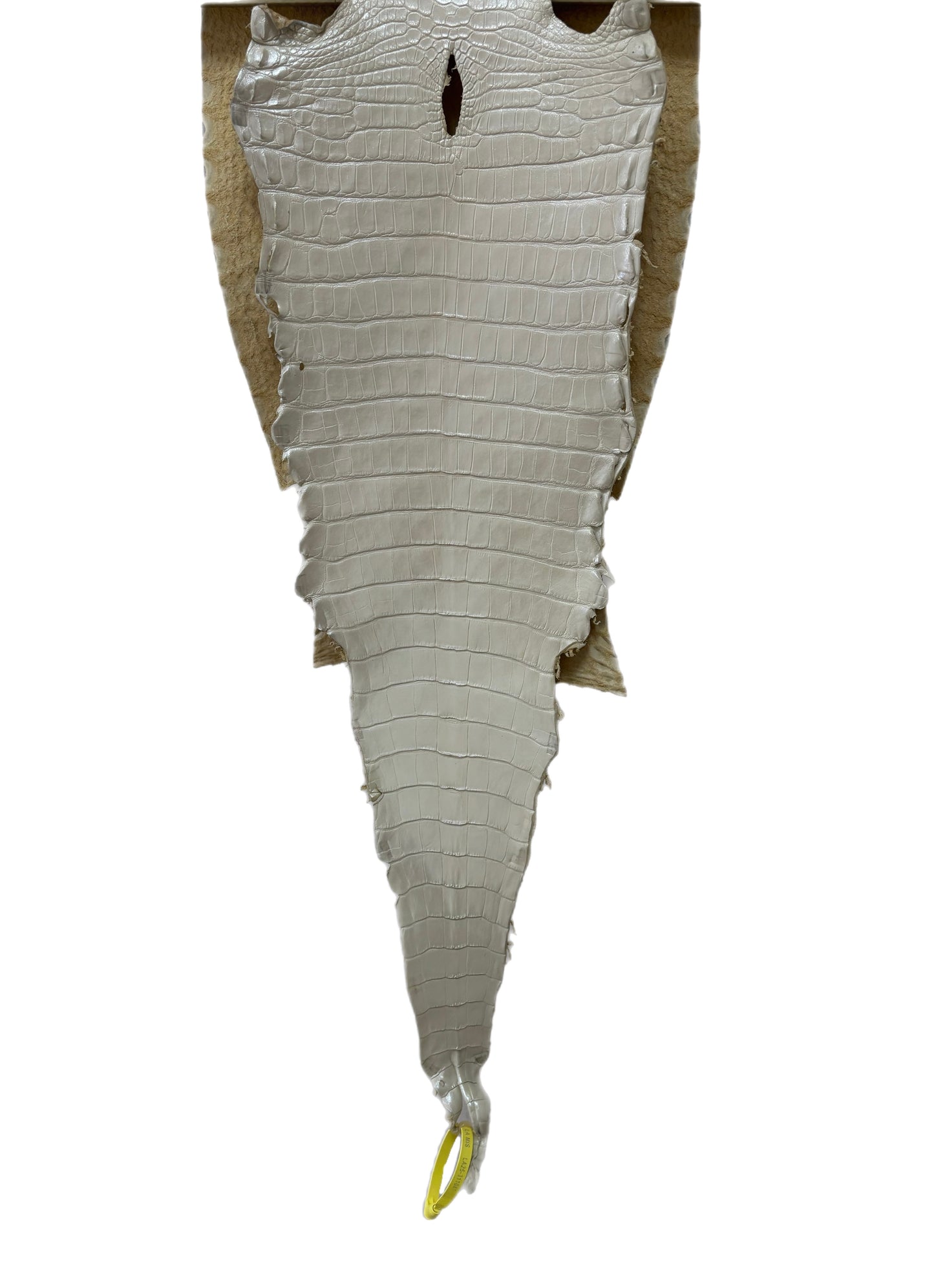 32 cm Grade 2/3 White Pearl Matte Farm-Raised American Alligator Leather - Tag: LA25-0311041