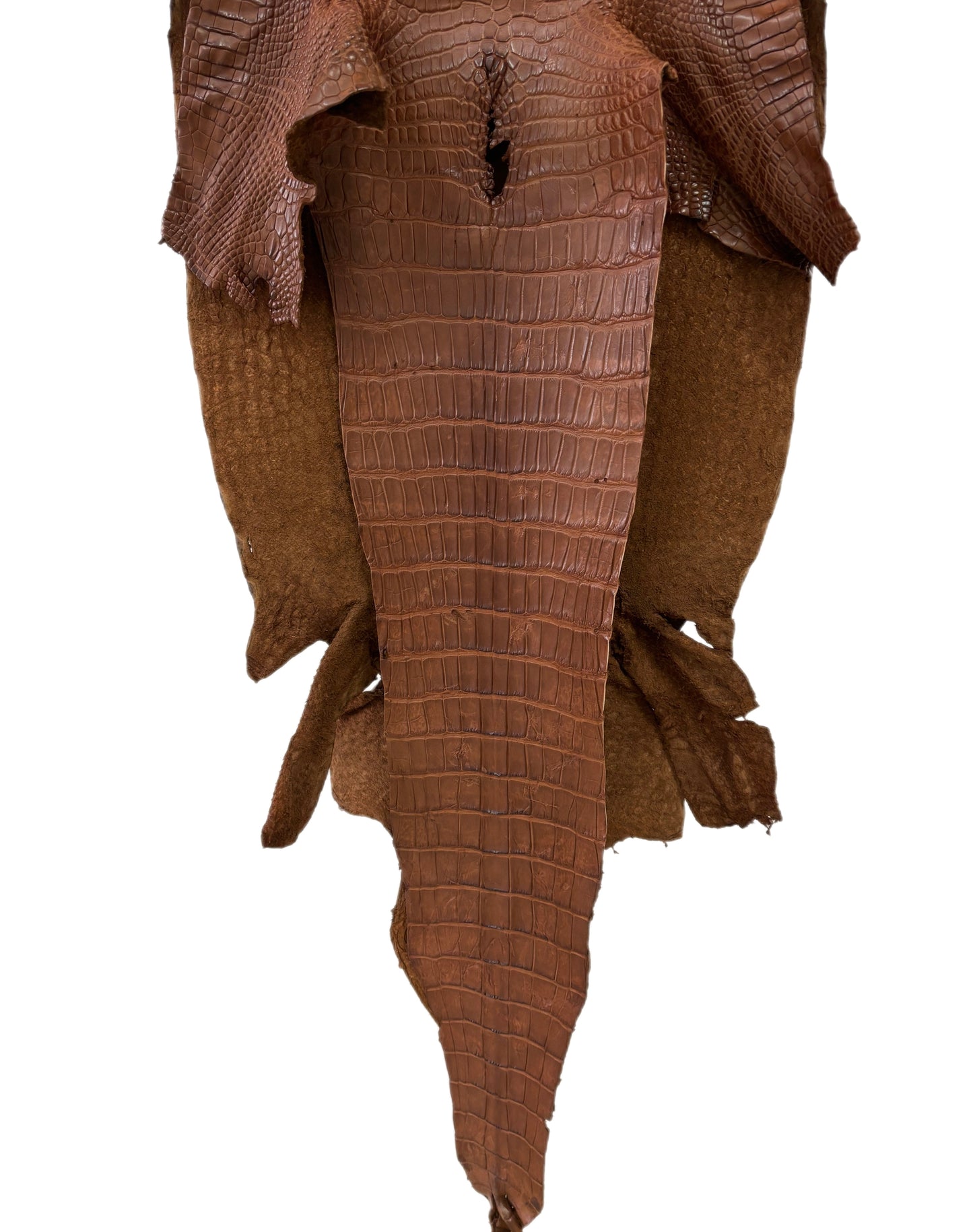41 cm Grade 3/4 Cigar Matte Wild American Alligator Leather - Tag: LA22-0021062
