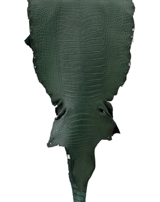 33 cm Grade 2/3 Forest Green Matte Wild American Alligator Leather - Tag: LA23-0024077