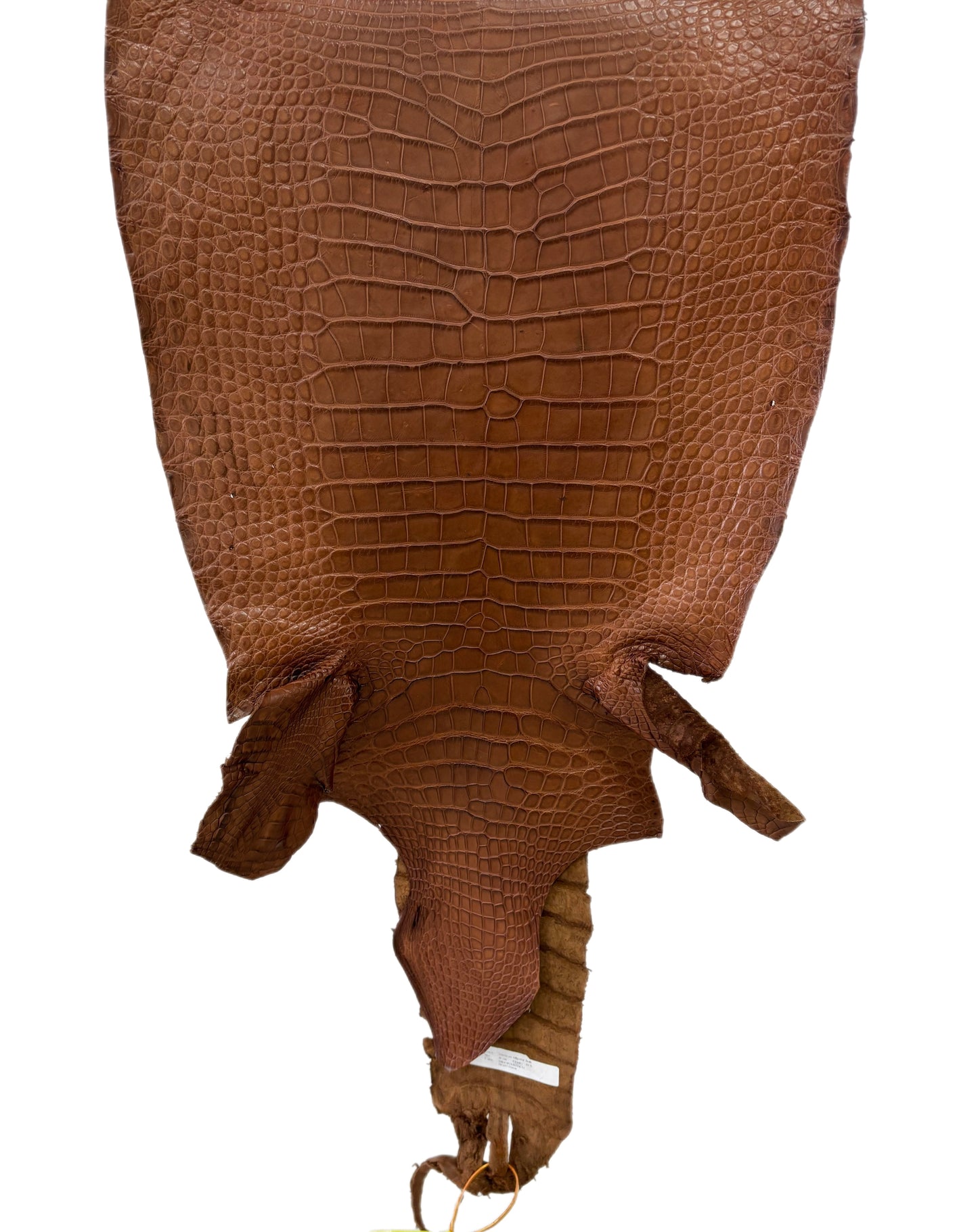 41 cm Grade 4/5 Cigar Matte Wild American Alligator Leather - Tag: LA22-0004107