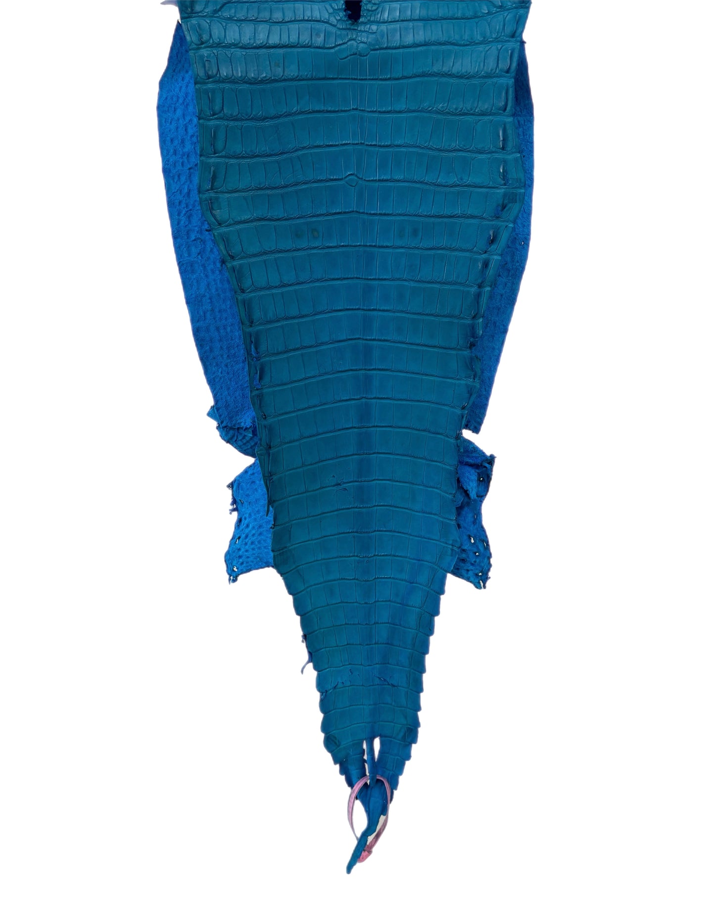 28 cm Grade 4/5 Ultramarine Matte Farm-Raised American Alligator Leather - Tag: FL21-0023986