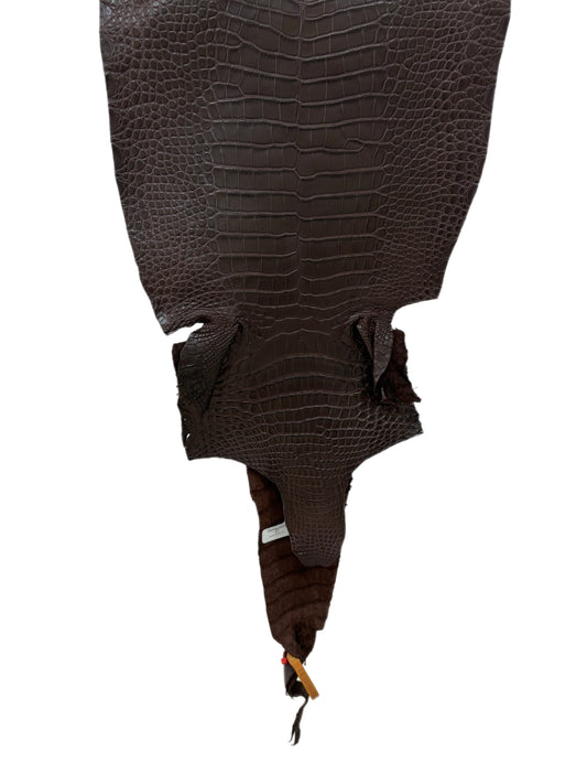 32 cm Grade 1/2 Chocolate Matte Farm-Raised American Alligator Leather - Tag: LA23-0531892