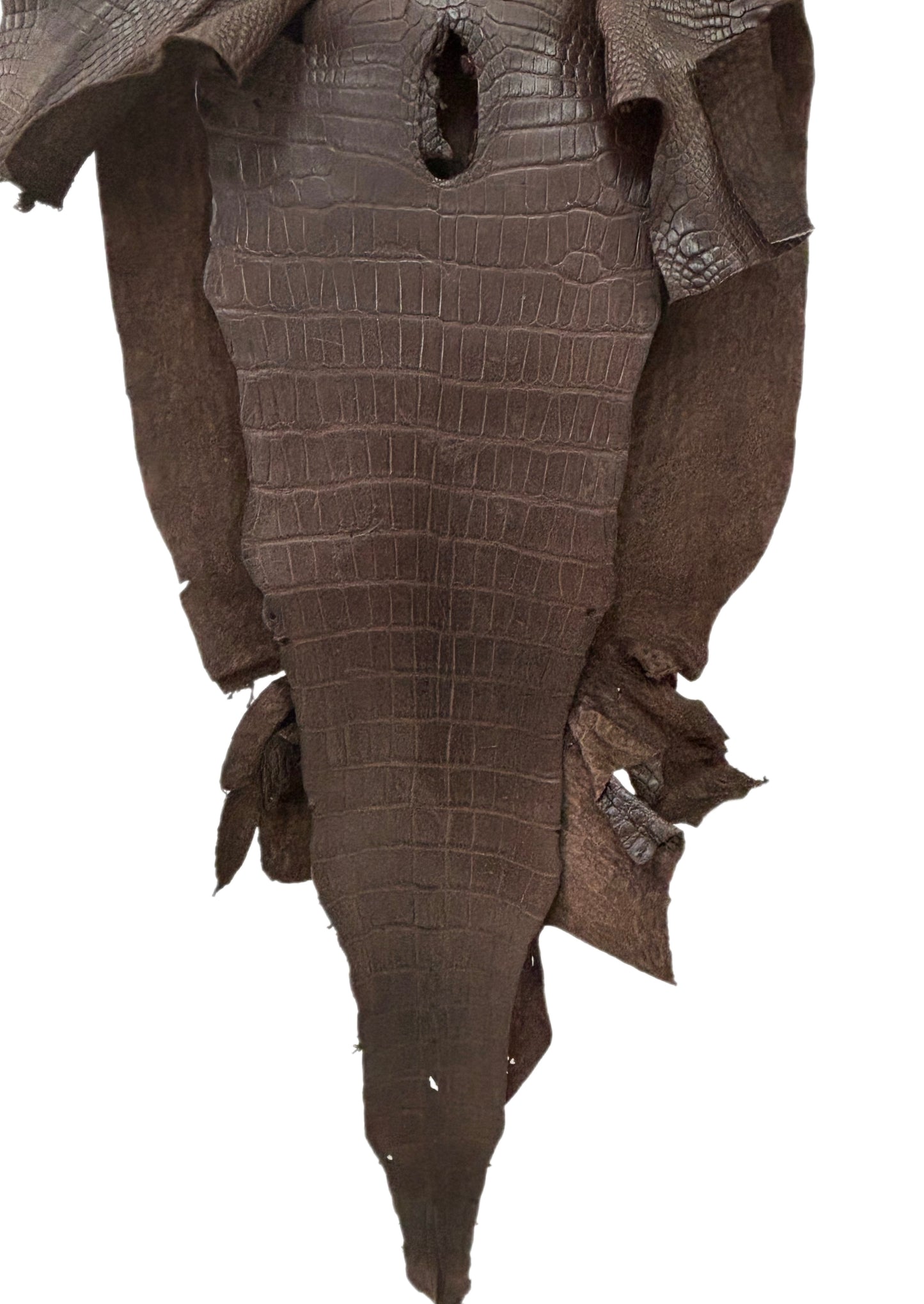 45 cm Grade 3/4 Chocolate Matte Wild American Alligator Leather - Tag: LA23-0003699