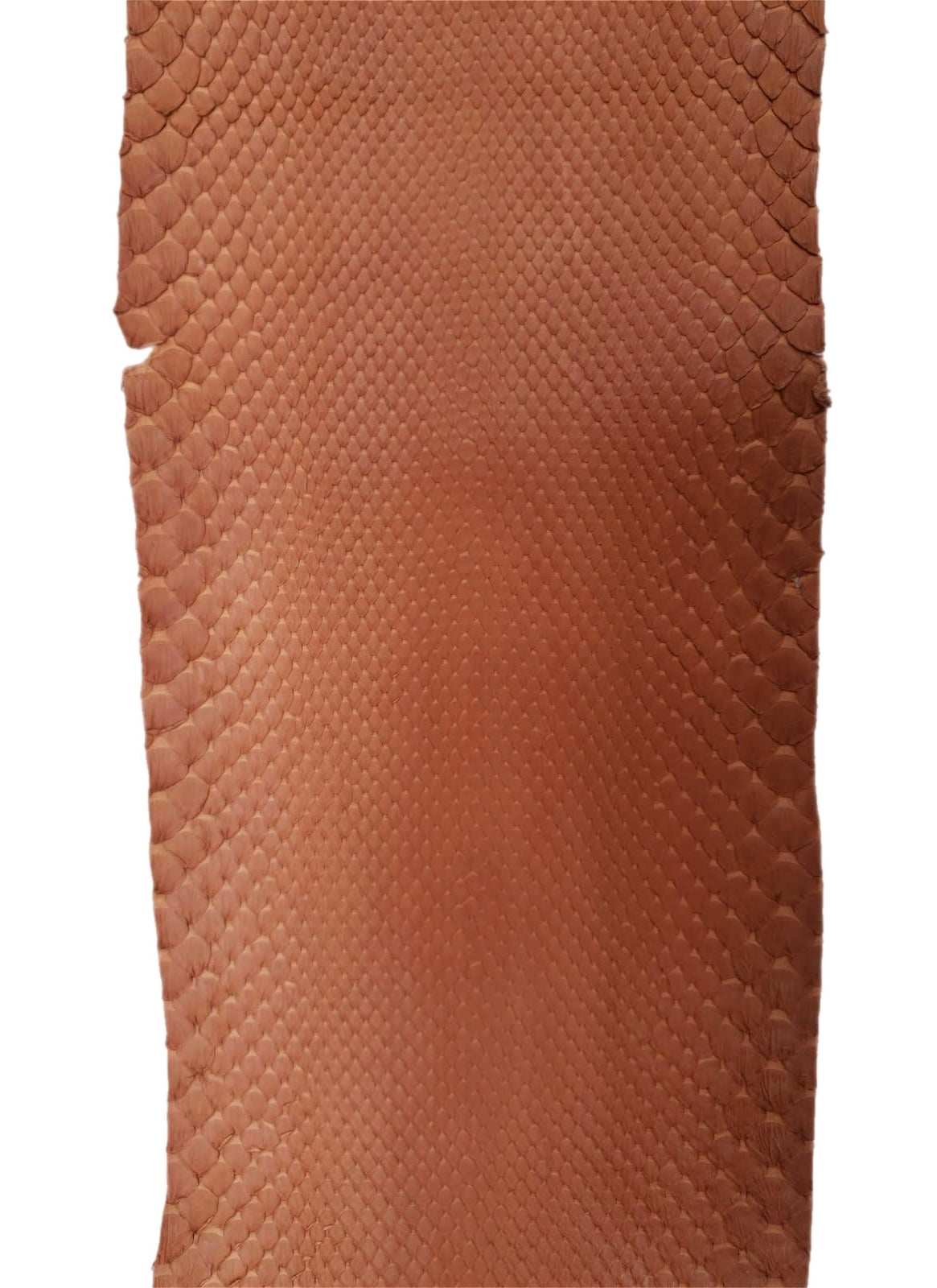 1.2 M Orange Matte Front Cut Python Leather