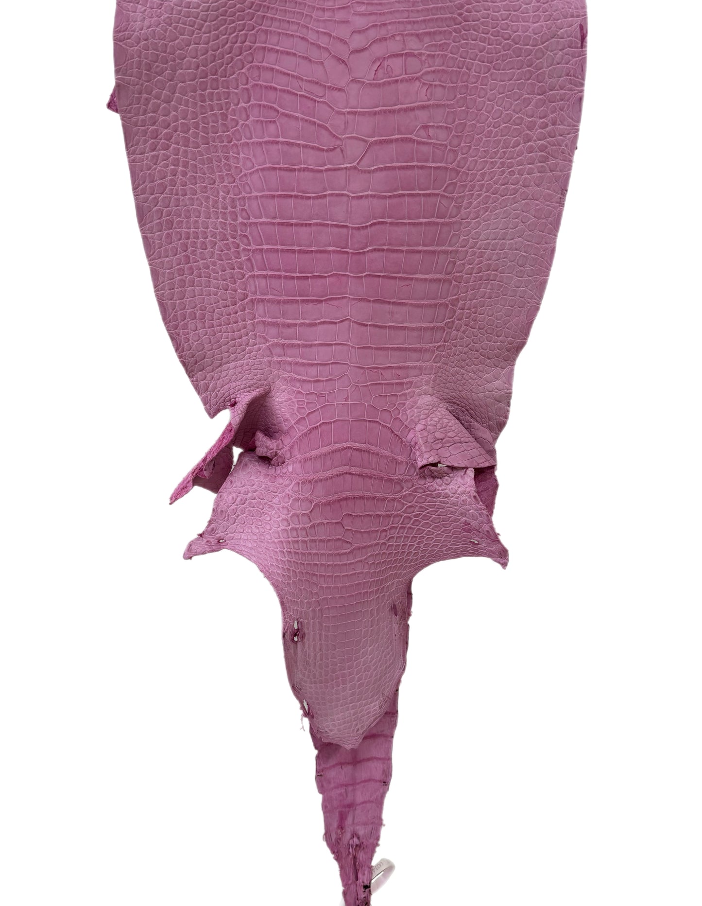 38 cm Grade 4/5 Cotton Candy Matte Wild American Alligator Leather - Tag: LA23-0030275