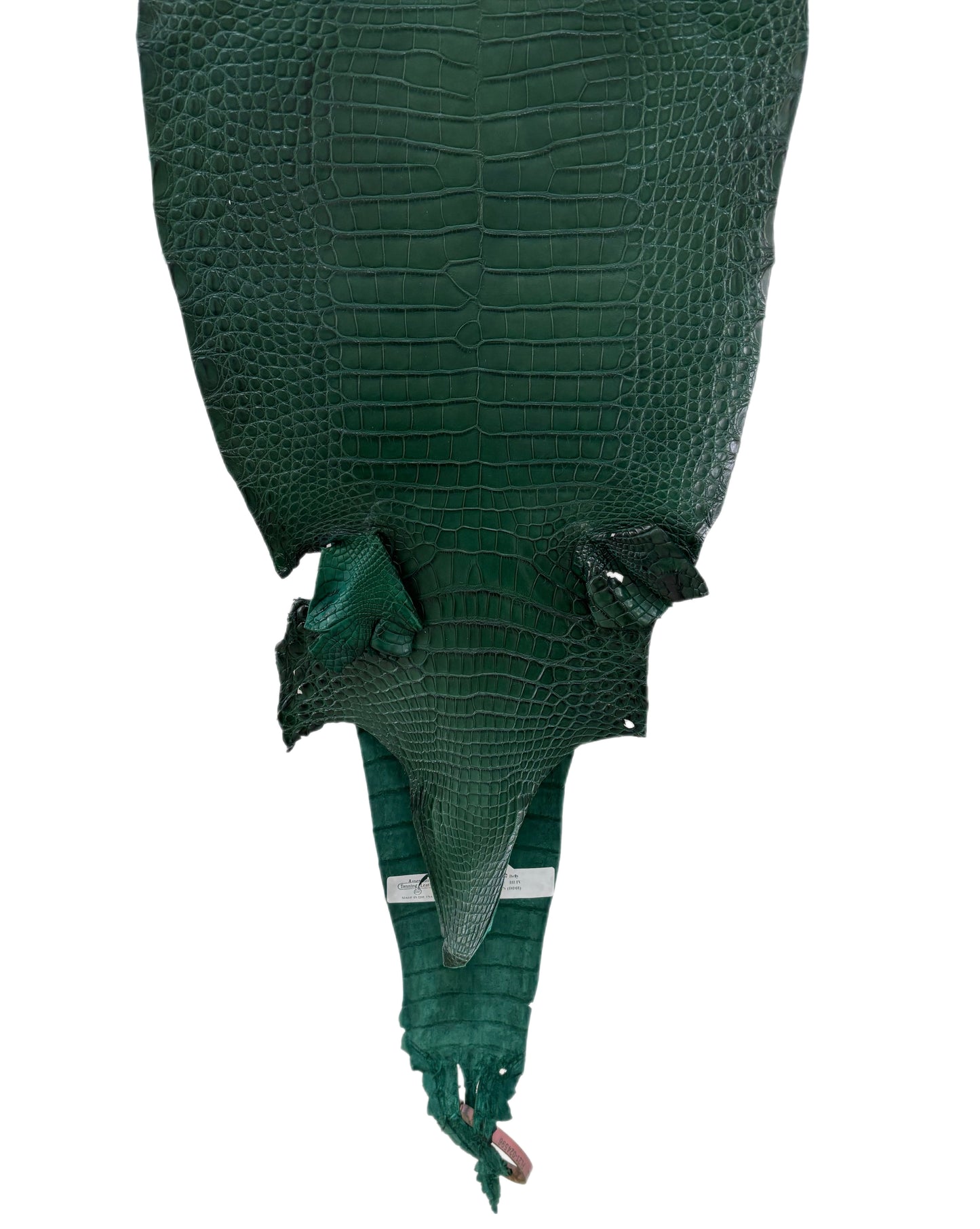 27 cm Grade 3/4 Forest Green Matte Farm Raised American Alligator Leather - Tag: FL21-0024596