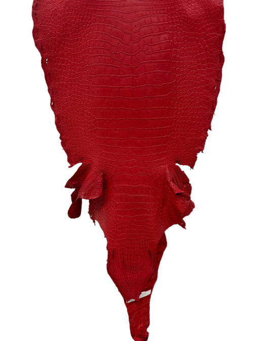 47 cm Grade 3/4 Candy Apple Red Matte Wild American Alligator Leather - Tag: LA23-0027271