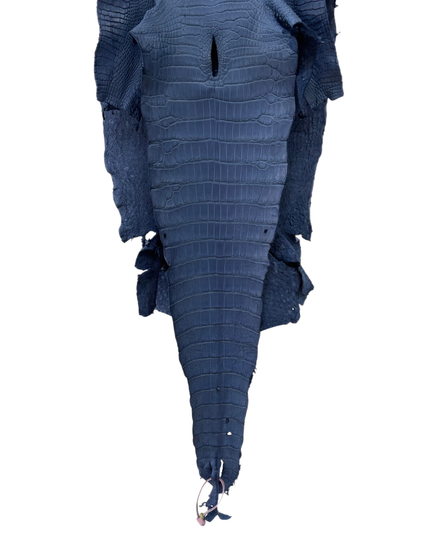 32 cm Grade 2/3 Indigo Matte Wild American Alligator Leather - Tag: LA18-0042933
