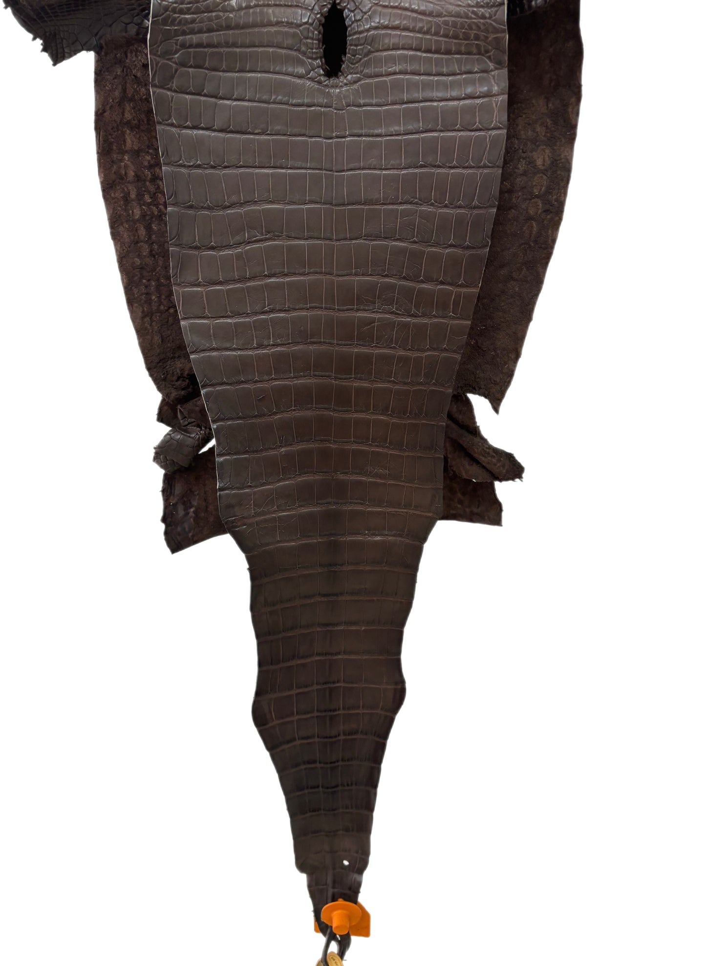 28 cm Grade 1/2 Chocolate Matte Farm-Raised American Alligator Leather - Tag: FL15-0057329