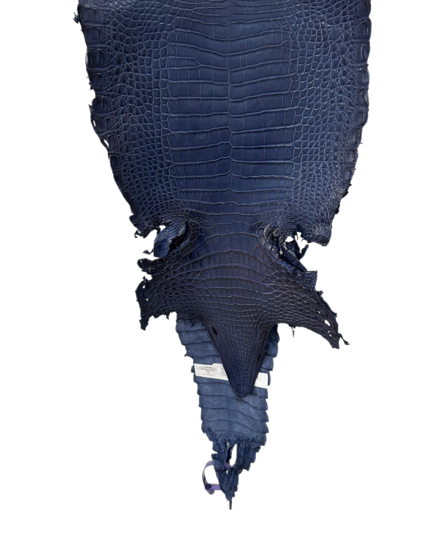 25 cm Grade 4/5 Admiral Blue Matte Farm Raised American Alligator Leather - Tag: FL21-0024966