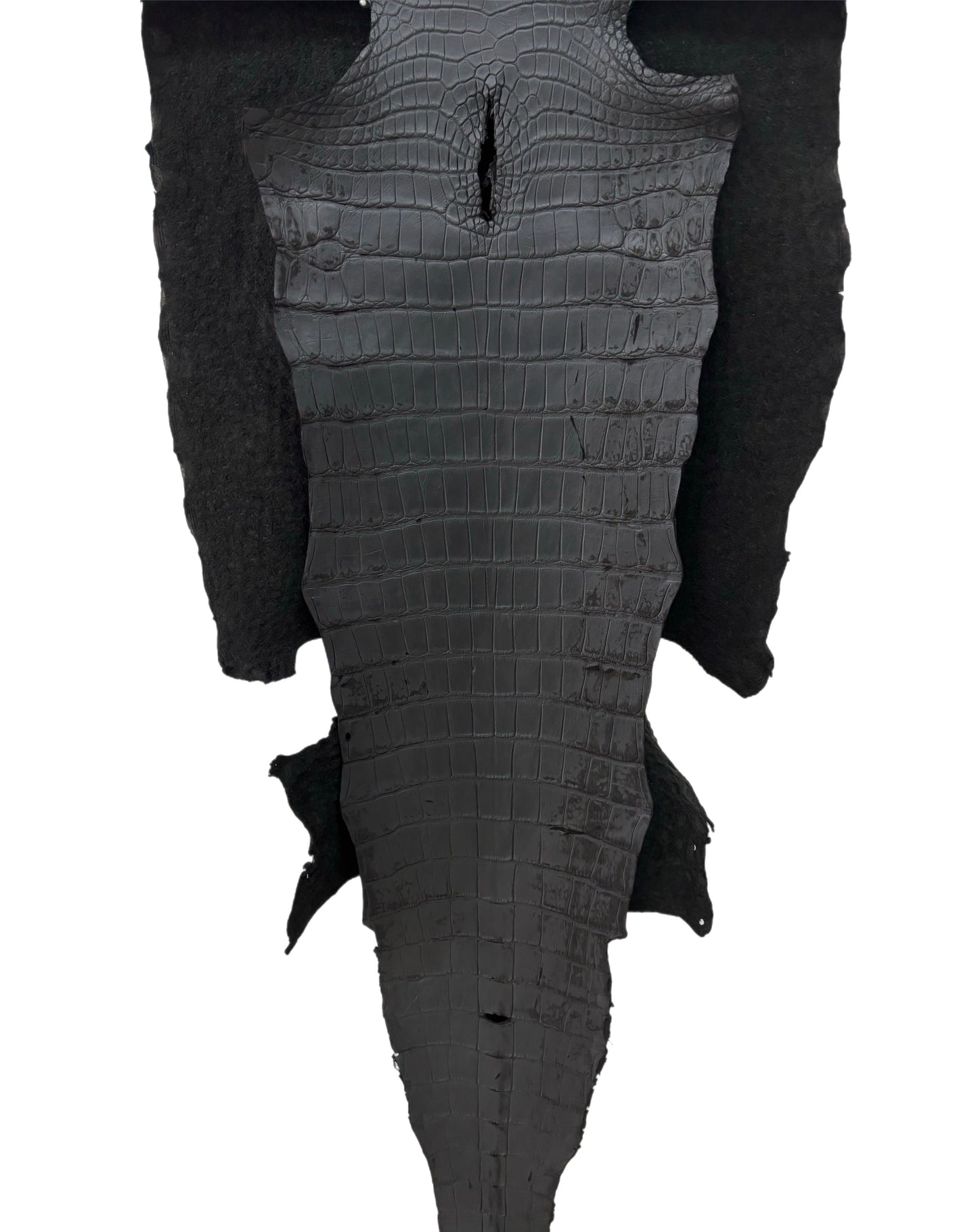 52 cm Grade 3/4 Black Matte Wild American Alligator Leather - Tag: LA22-0025251
